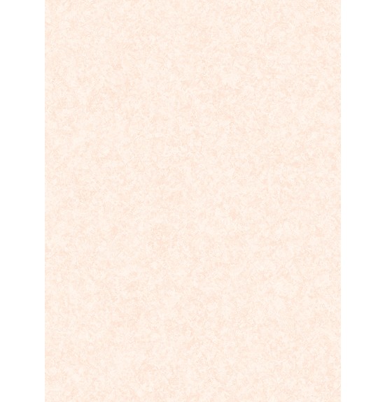 アイカ キッチンパネル FANA1995ZMN 艶有り 3x6 セラール 【関東地方一部のみ配送可】