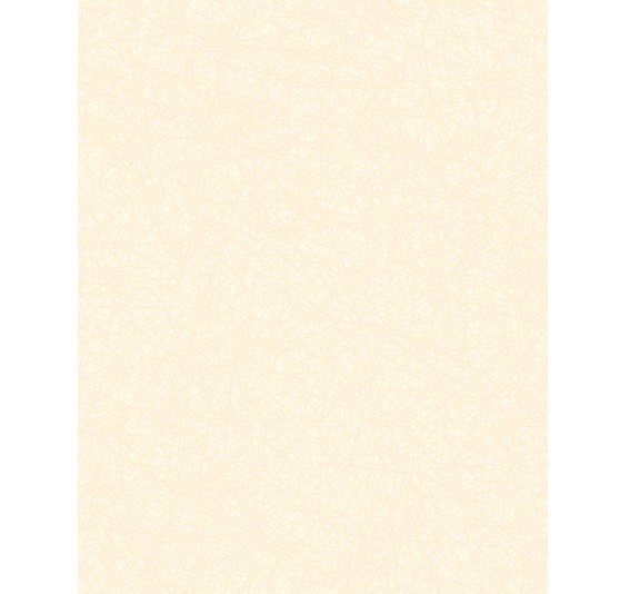 アイカ キッチンパネル メラミン不燃化粧板 / セラール 艶有り 3x8【関東地方一部のみ配送可】