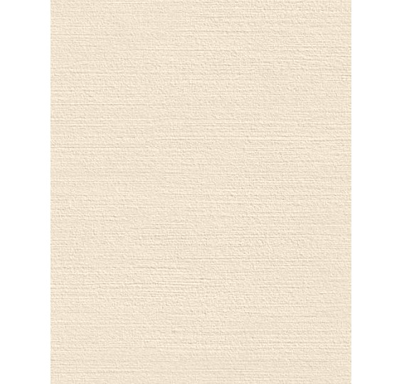 アイカ キッチンパネル メラミン不燃化粧板 / セラール 艶有り 3x8【関東地方一部のみ配送可】